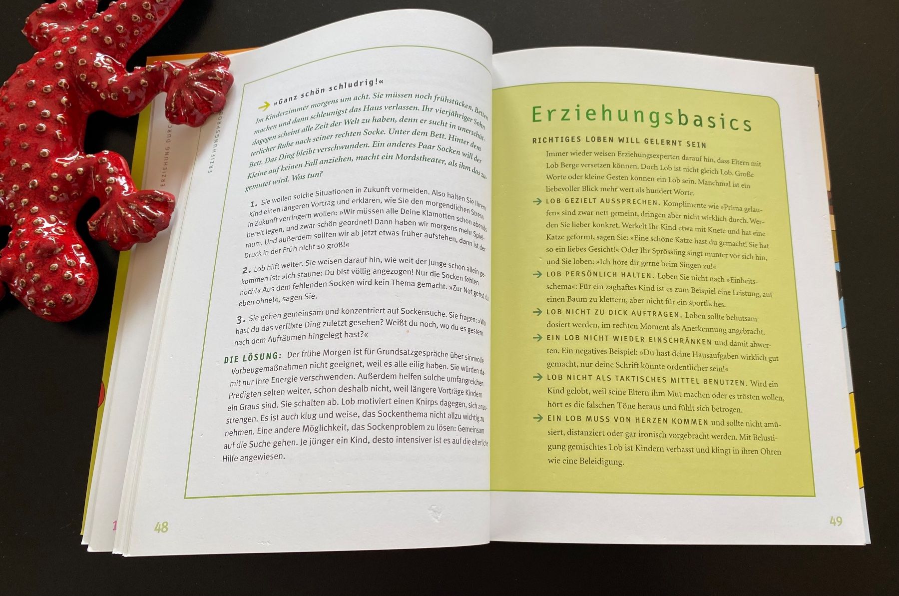 Libri: DER ELTERN FÜHRERSCHEIN – Usato da Nussbaumen AG venduto da schuba2000 4