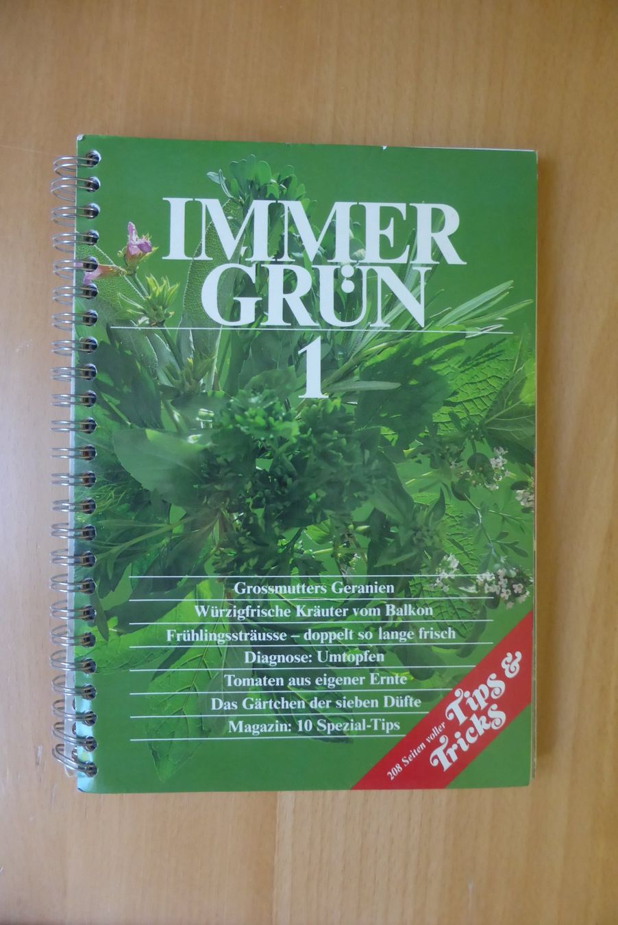 Libri: Betty Bossi - Immer grün – Usato da Brunnadern venduto da lesezirkel