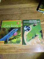 Gecko