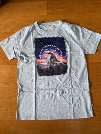 Alprausch Herren T-Shirt Gr. L