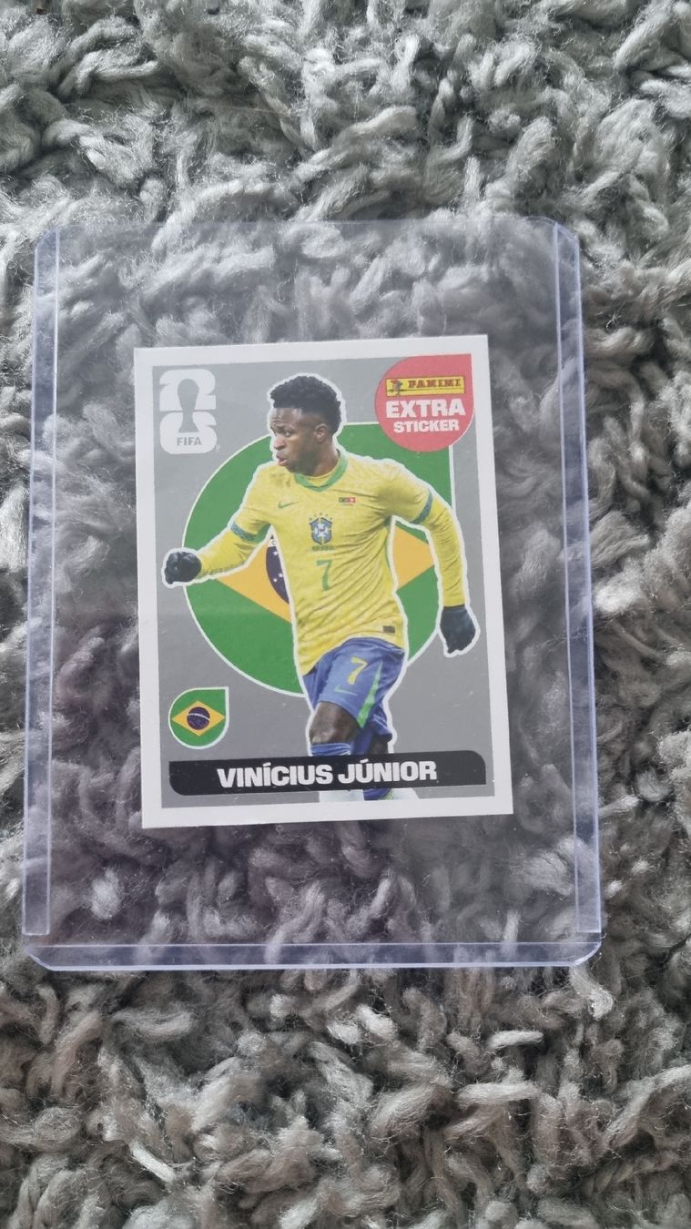 Panini Carte collezionabili: WM Panini – Usato da Lausen venduto da pga_6xwg