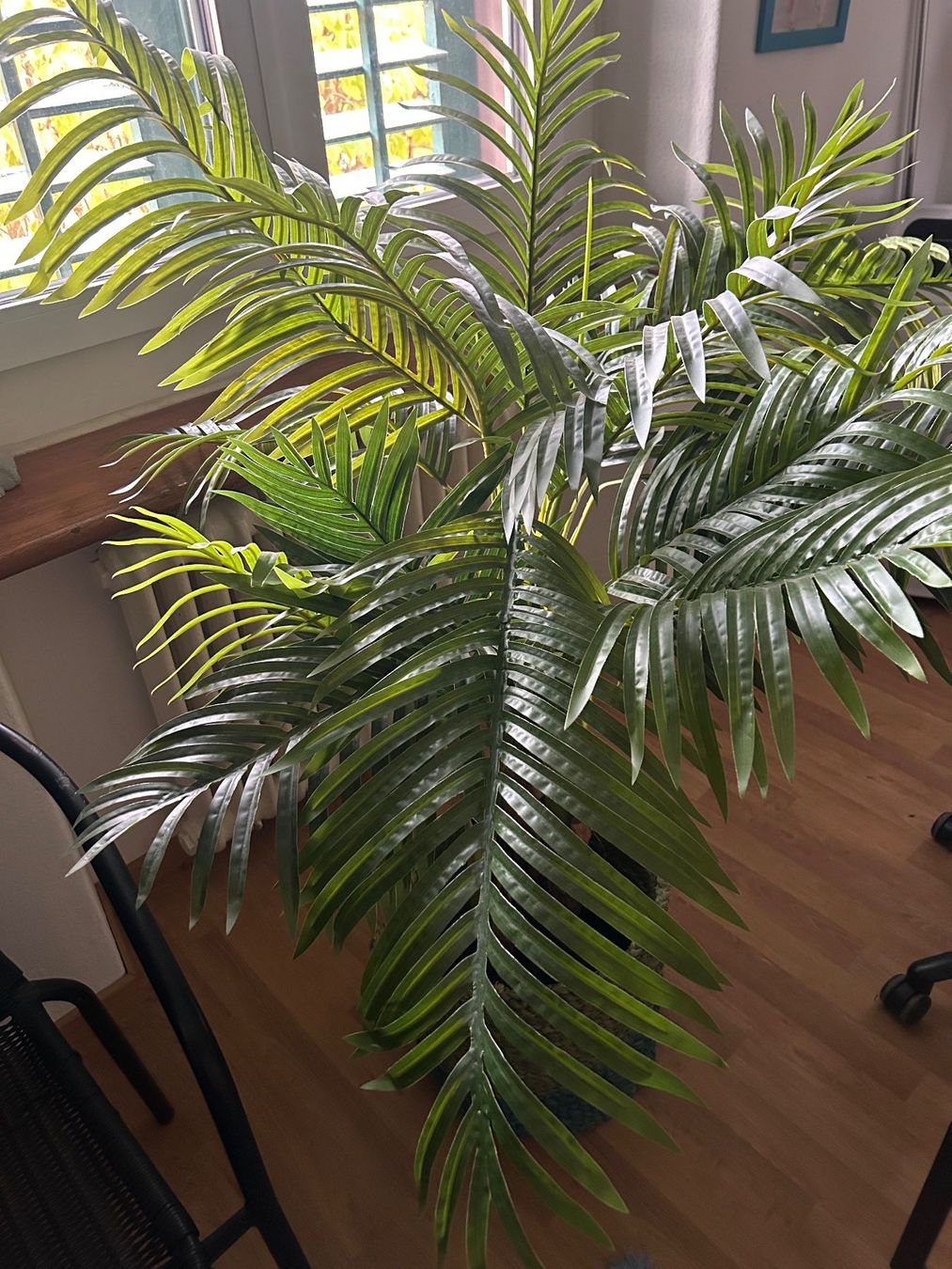 Toutes les décorations: Palme Kunstpflanze – Neuf (Voir description) à Schaffhausen par amwr 1