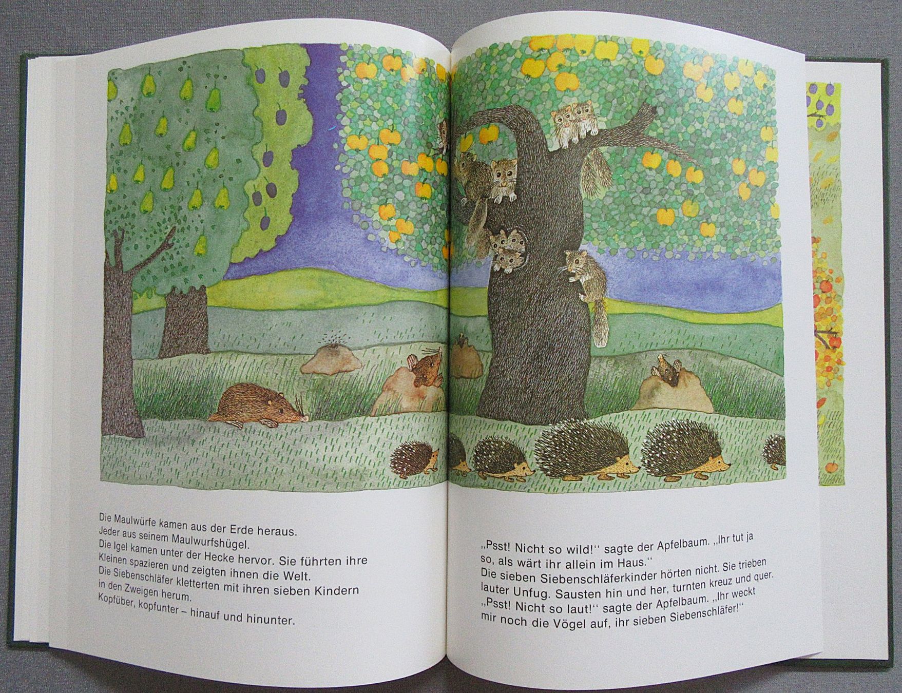 Livres: Der Apfelbaum - Bilderbuch ab CHF 1.00 – D'occasion à Auenstein par Padabimbim 6