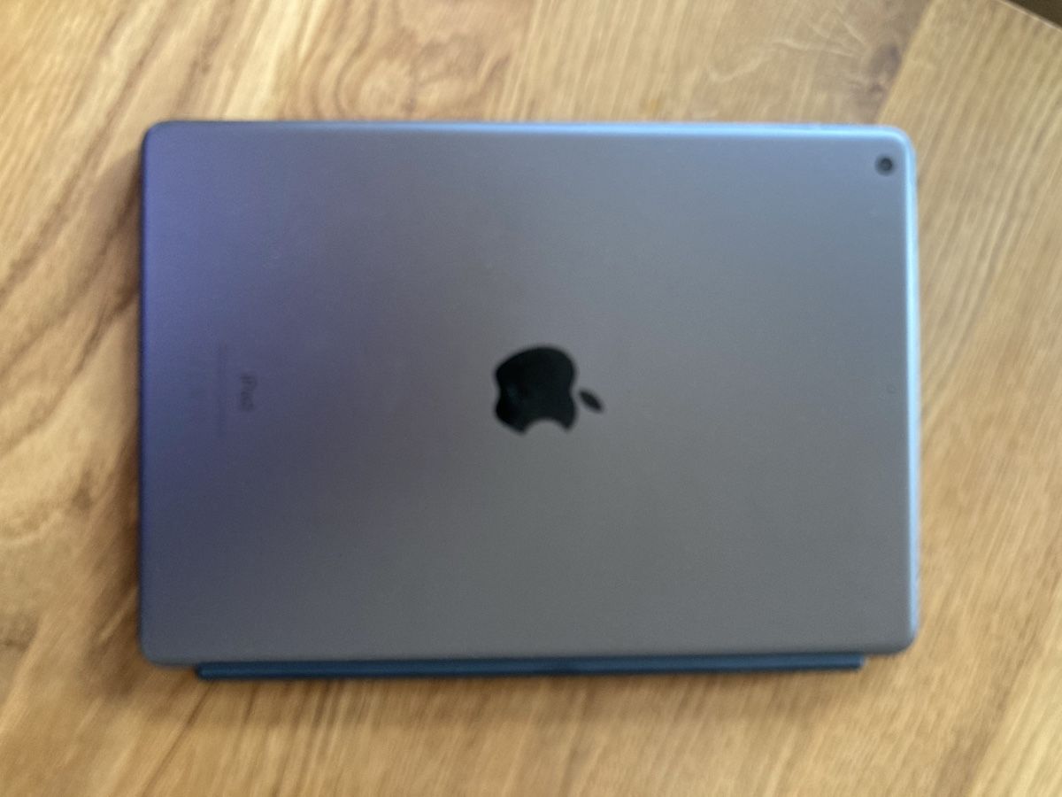 Apple Tablet PC: iPad, 8. Generation, 32GB – Usato da Winterthur venduto da butterfly210 1