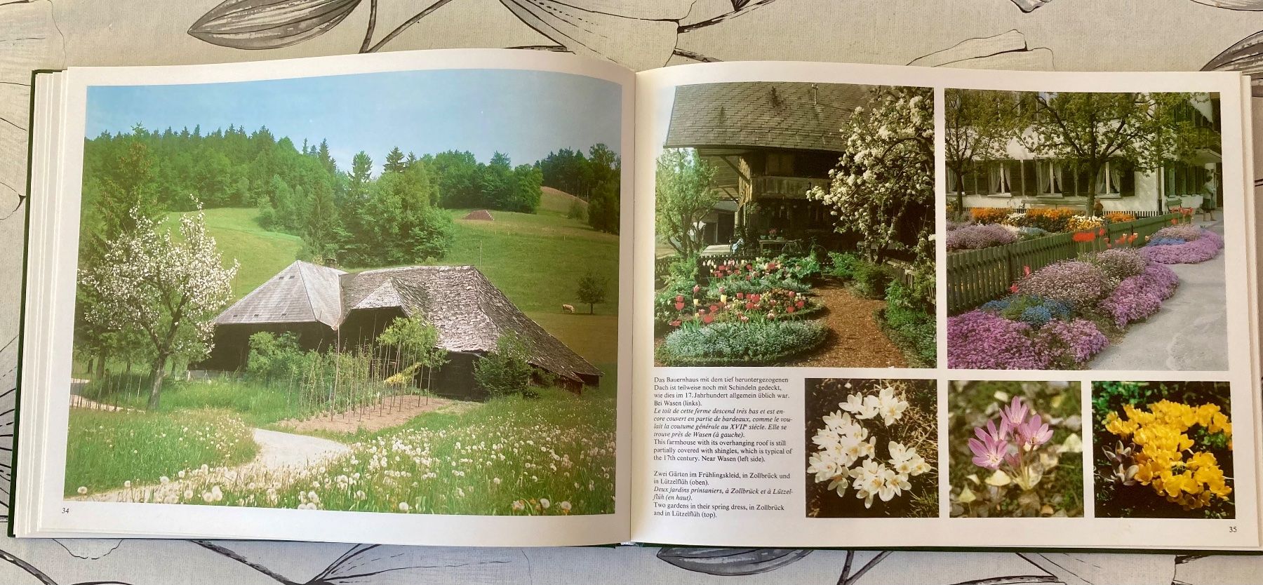 Bücher: Berner Bauerngärten - Bildband - Landwirtschaft - – Gebraucht aus Rüegsauschachen von Andyalfredo 6