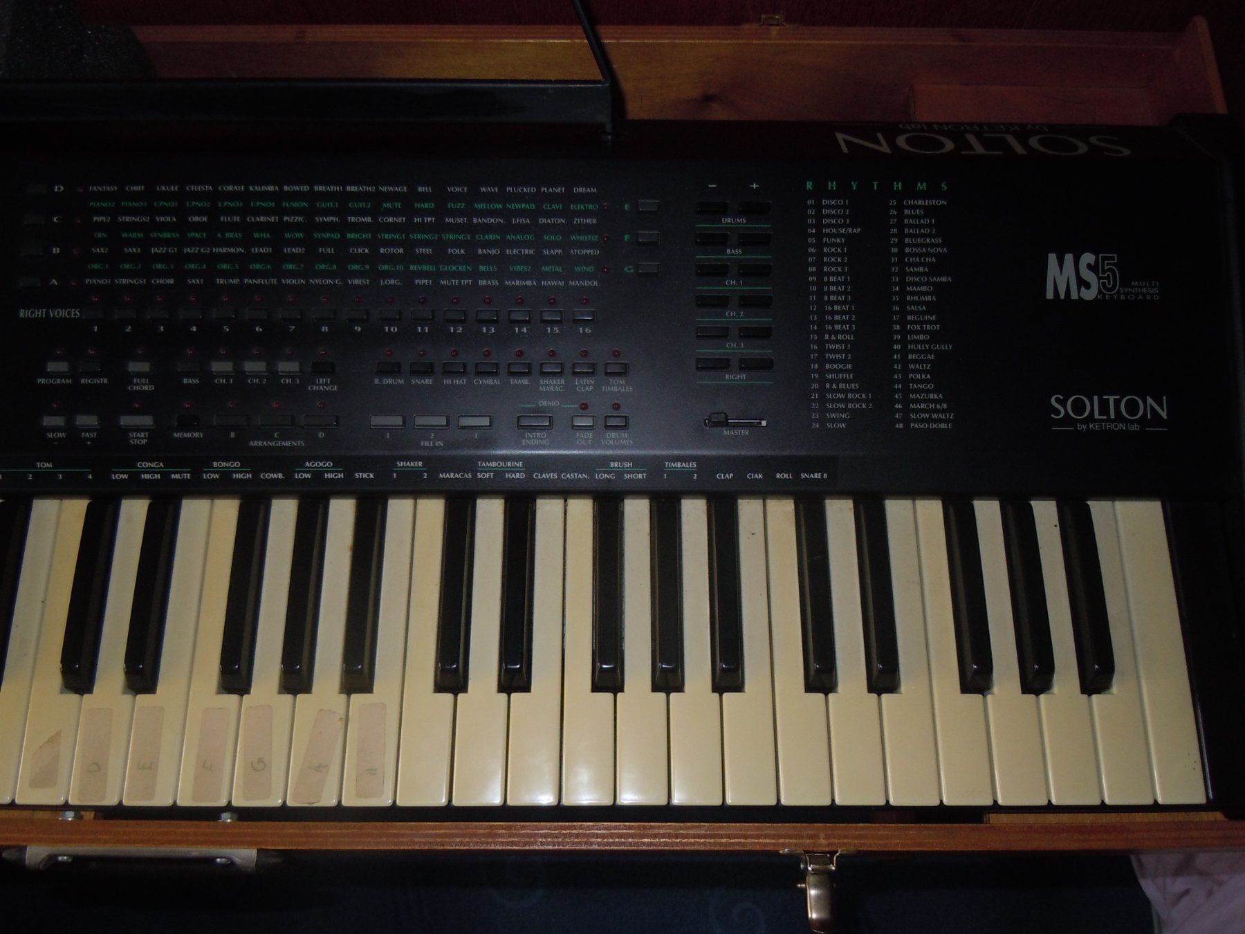 Solton Strumenti musicali: Solton MS5 Multi Synthesis Keyboard – Usato da Ricken SG venduto da konditor01 3