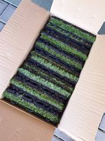 Kunstrasen platten