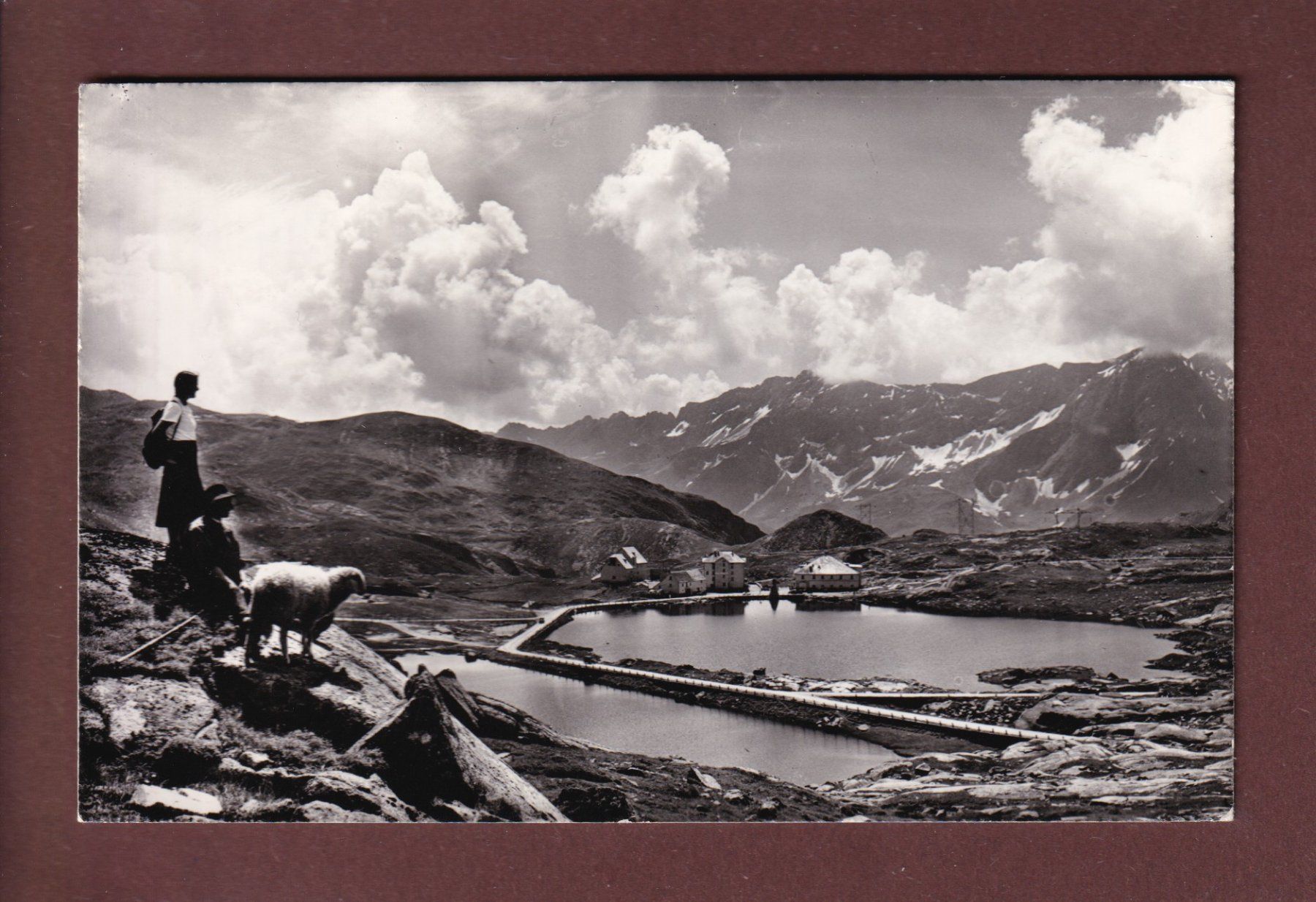 Cartoline postali: SAN GOTTARDO - Mouton - 1960 – Usato da Pully venduto da nicecards
