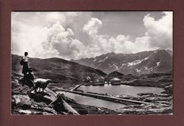 SAN GOTTARDO - Mouton - 1960