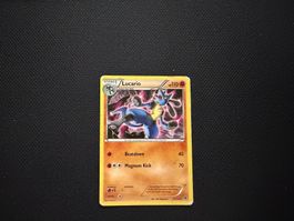 Lucario 47/124