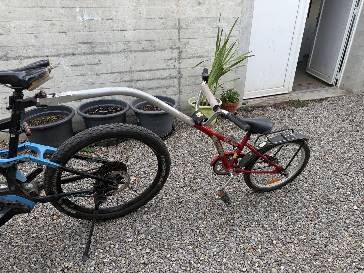 Vélos: Schattenvelo / Follow-me – D'occasion à Beinwil am See par pk5037