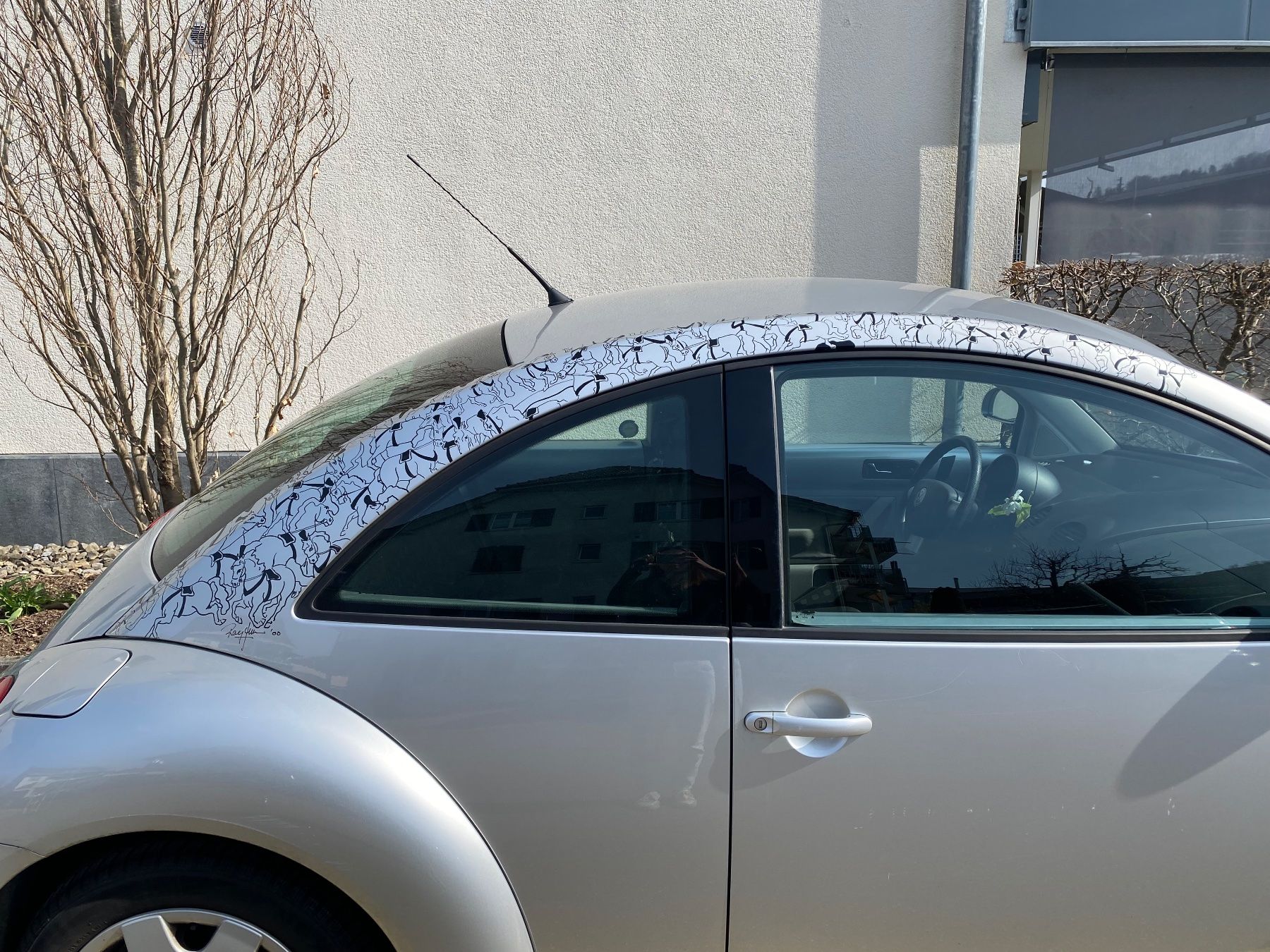 VW Automobili: VW New Beetle – Usato da Liebefeld venduto da mad_5mqd 1
