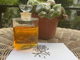 Christian Dior, Diorella, vintage