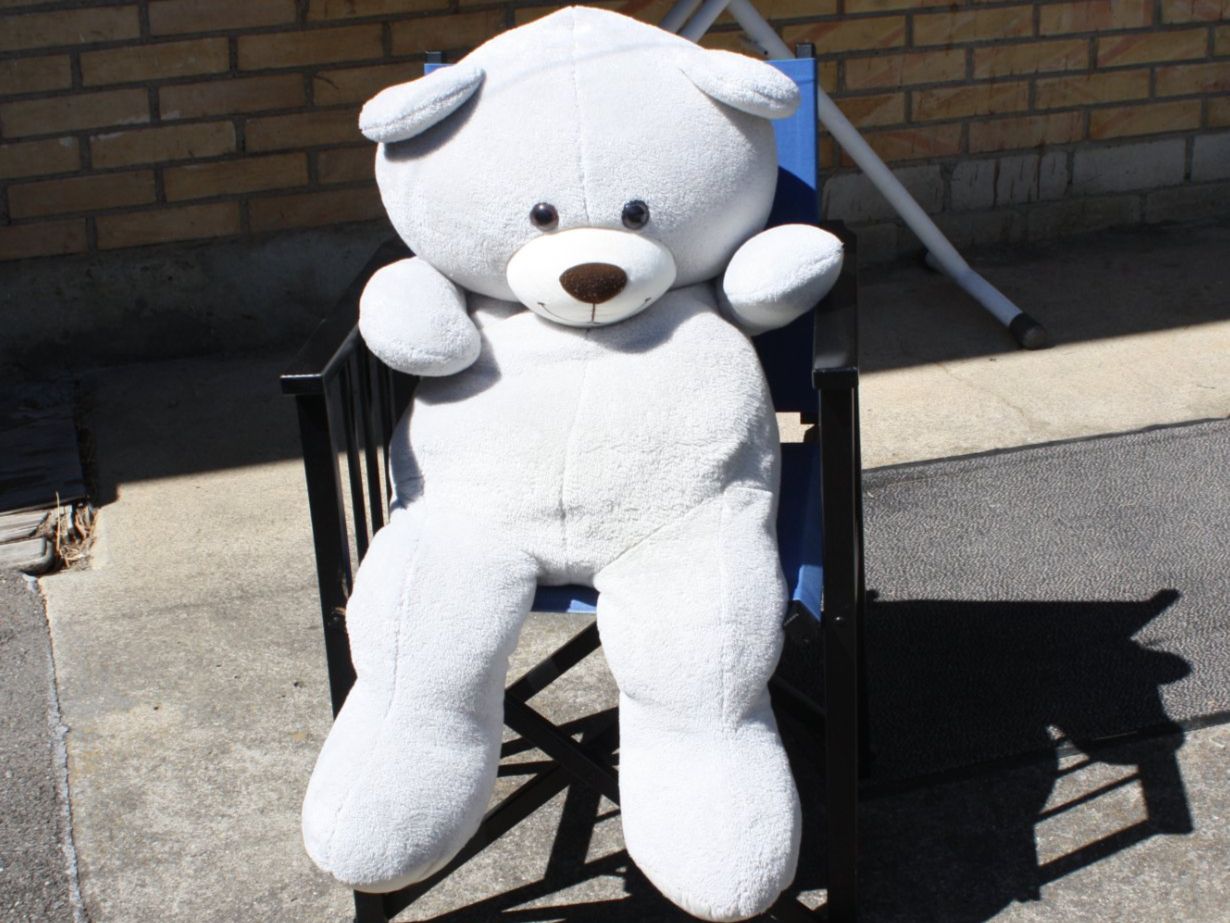 Jouets: GROSSER TEDDYBÄR PLÜSCHBÄR – D'occasion à Wauwil par Pneuedy