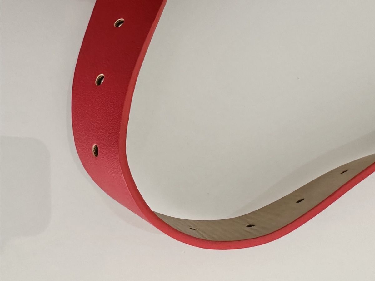 Steve Madden Borse: Steve Madden Gürteltasche in Rot – Usato da Bern venduto da Fraeuleinhonig 9