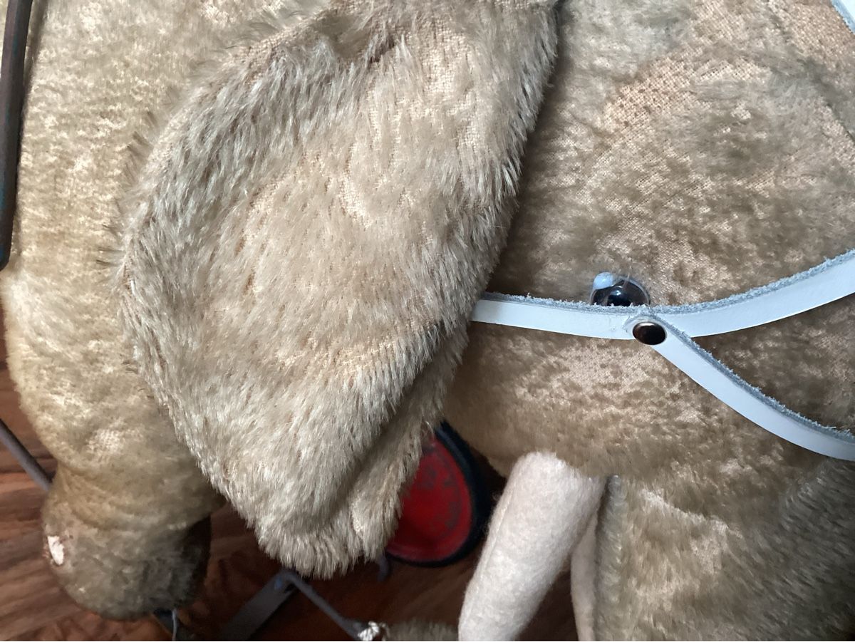 Steiff Giocattoli: ALTER STEIFF ELEFANT AUF RÄDER UM 1920/30 – Usato da Münchenstein venduto da NoSu98 6