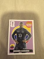Verkaufe caicedo violett extra Sticker 
