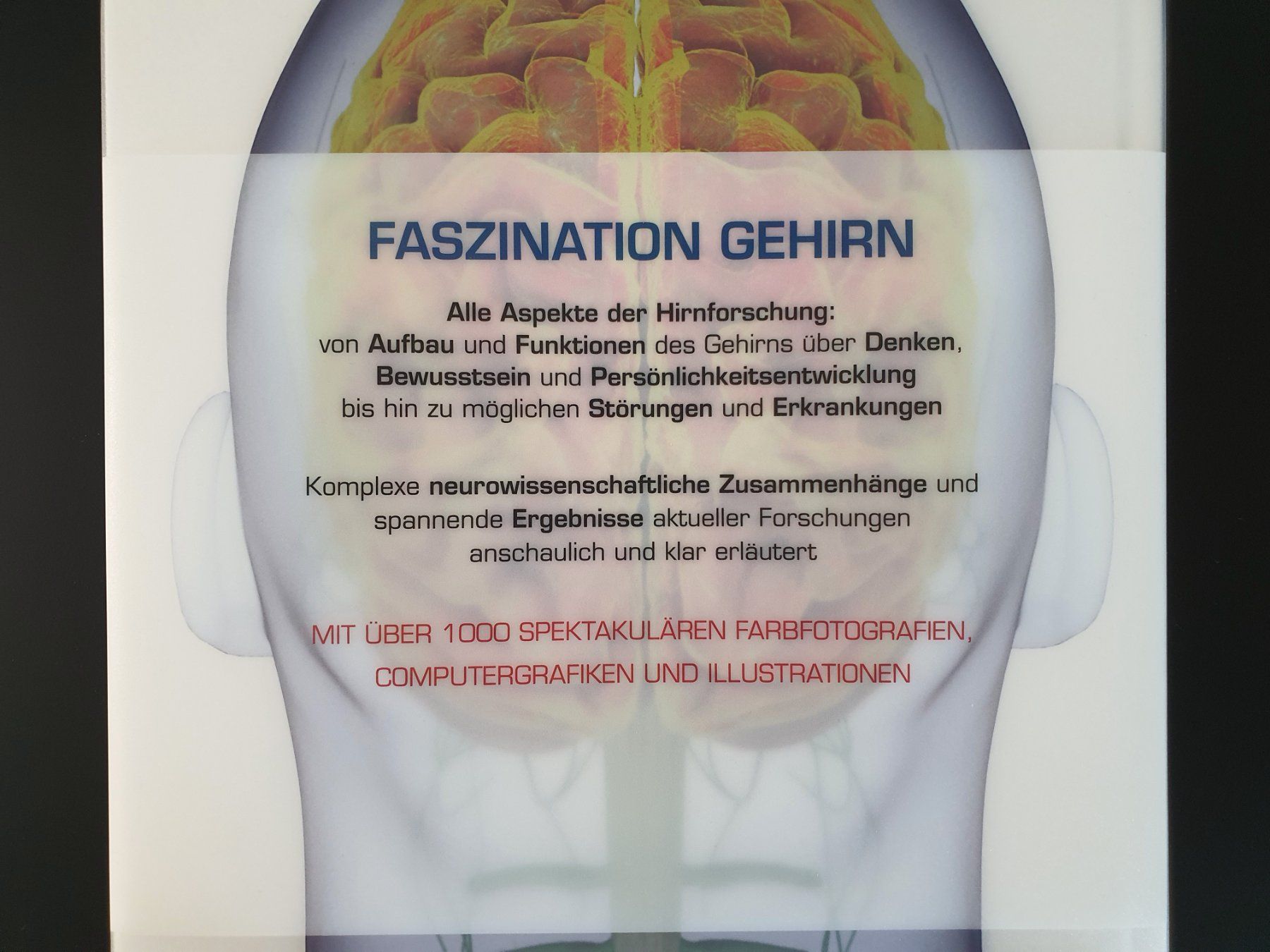 Bücher: Buch "Das Gehirn" / neu/neuwertig – Gebraucht aus Winterthur von Nooitgedagt 2
