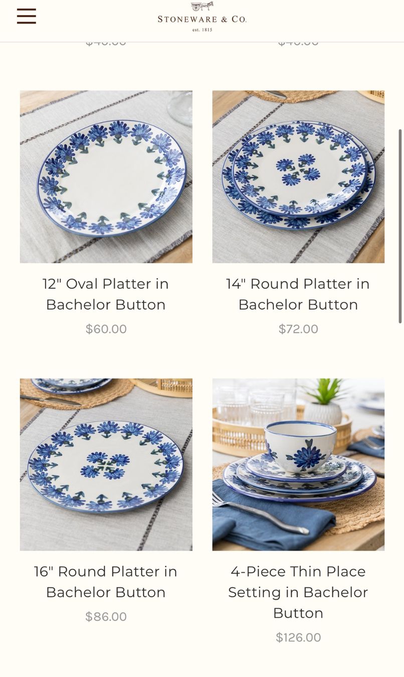 Servierplatten: Eine grosse Servier Platte oval Amerika Marke Stoneware & Co – Gebraucht aus Nussbaumen AG von HelenaDavid1910 6