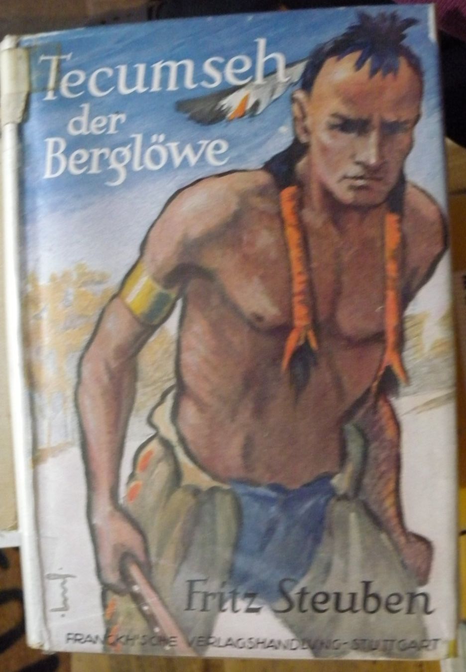 Livres: Tecumseh der Berglöwe – D'occasion à Hauenstein par davia72