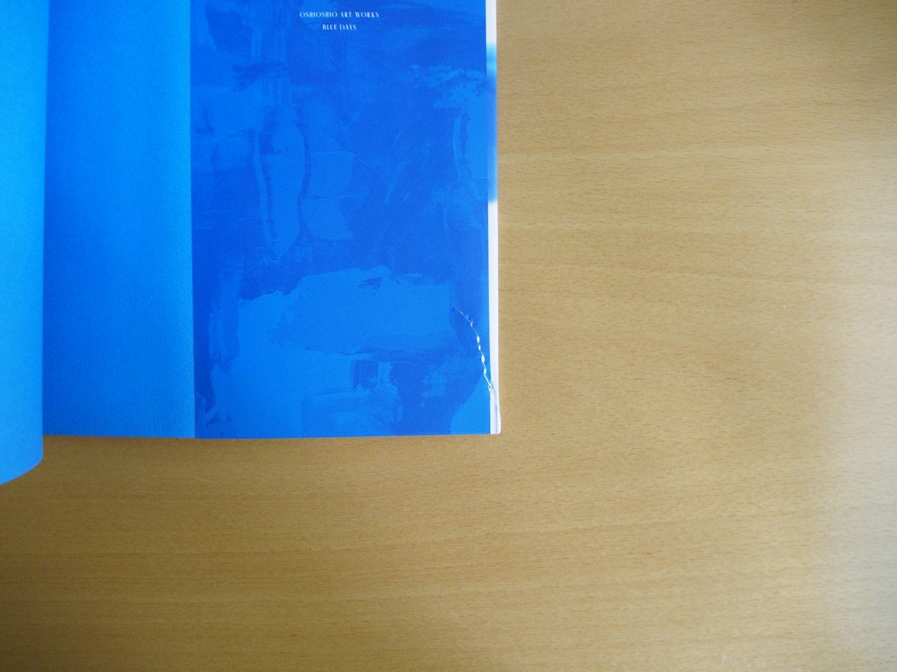 Libri: Blue Days (Artbook) – Usato da Winistorf venduto da raziel66 5