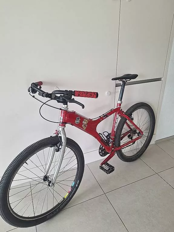 Vélos: Mountaincycle MOHO – D'occasion à Elgg par Delirium_Mountains 3