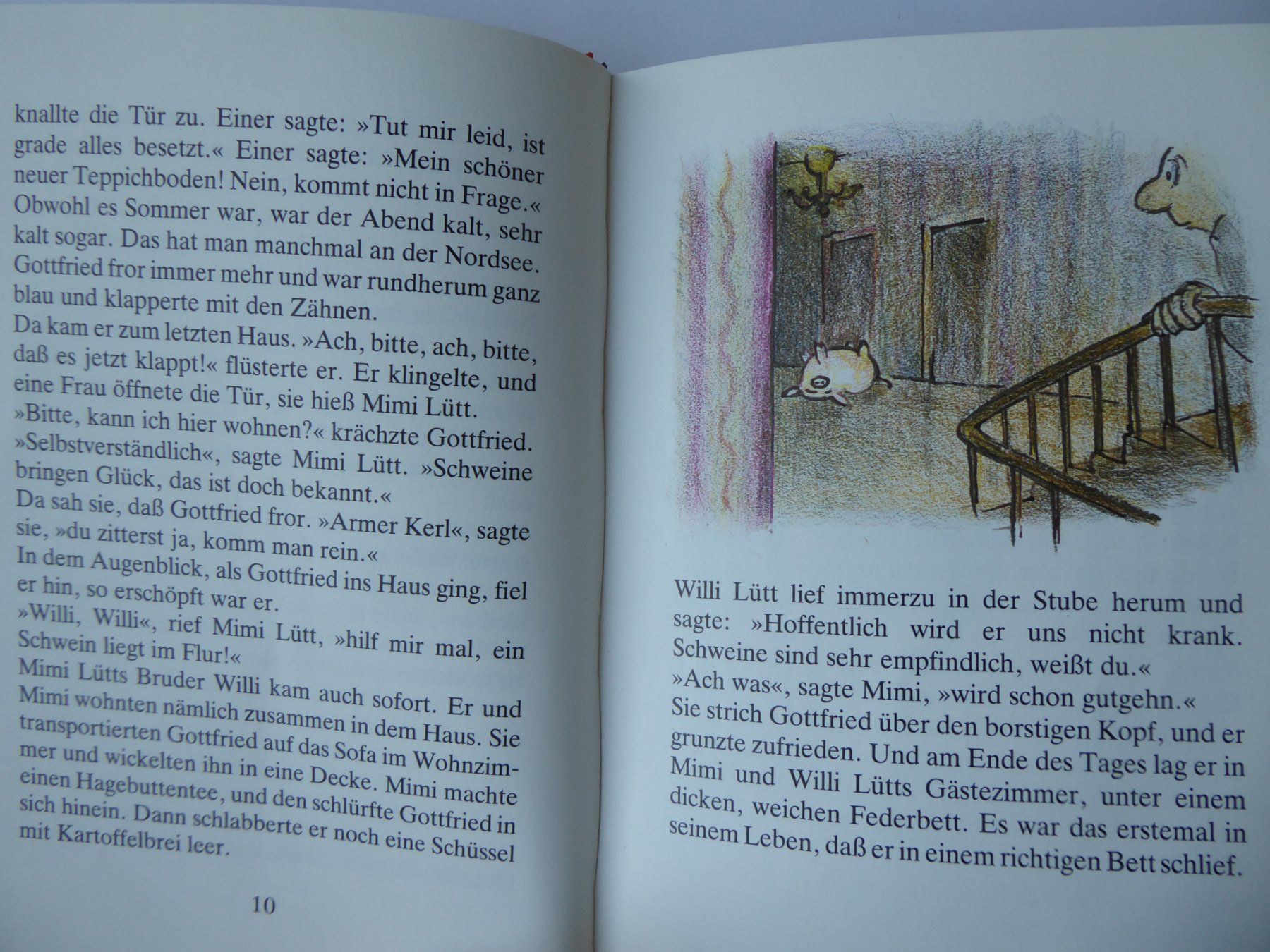 Bücher: Kinderbuch Gottfried das fliegende Schwein, W. Behncke – Gebraucht aus Turbenthal von Panau 2
