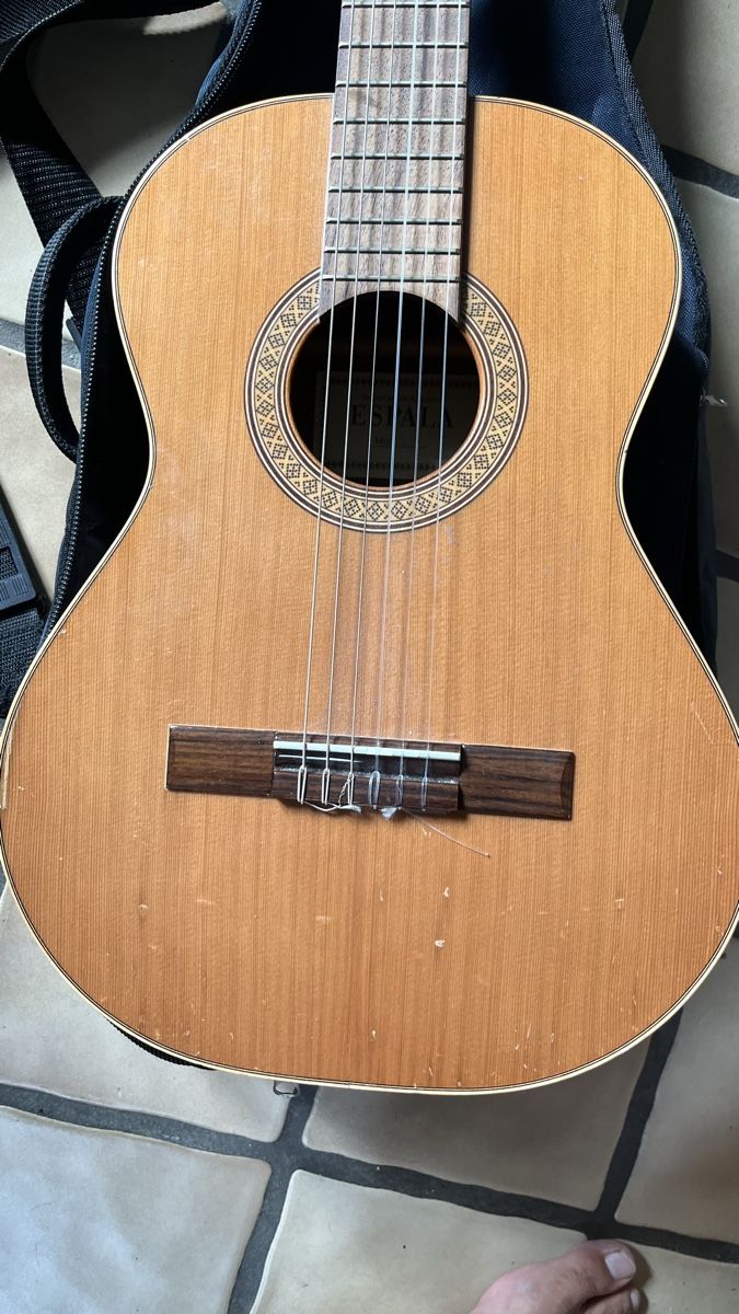 Esp Strumenti musicali: Espala Gitarre – Usato da Zürich venduto da mac1963mac 2