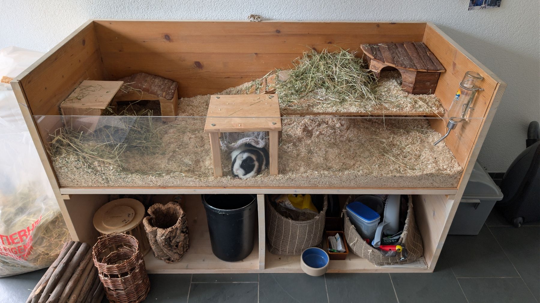 Gabbie, trasporto & Sicurezza: Meerschweinchen Gehege – Usato da Stäfa venduto da Viviane77