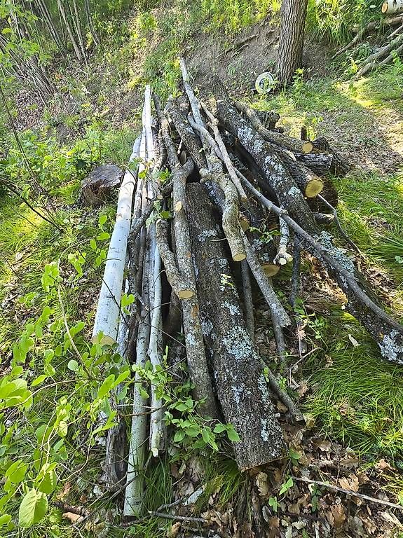 Articoli in legno: Bois de chauffage – Usato da Savièse venduto da Laguinee 4