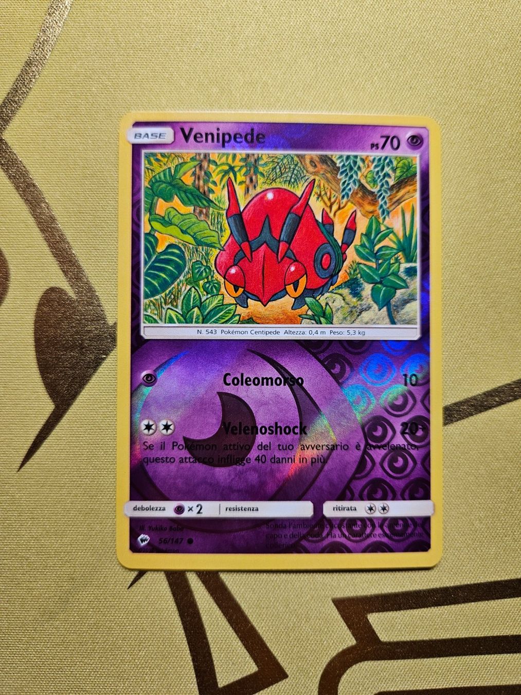 Pokémon Carte collezionabili: Burning Shardows - Venipede – Usato da Bellinzona venduto da Pokemarco