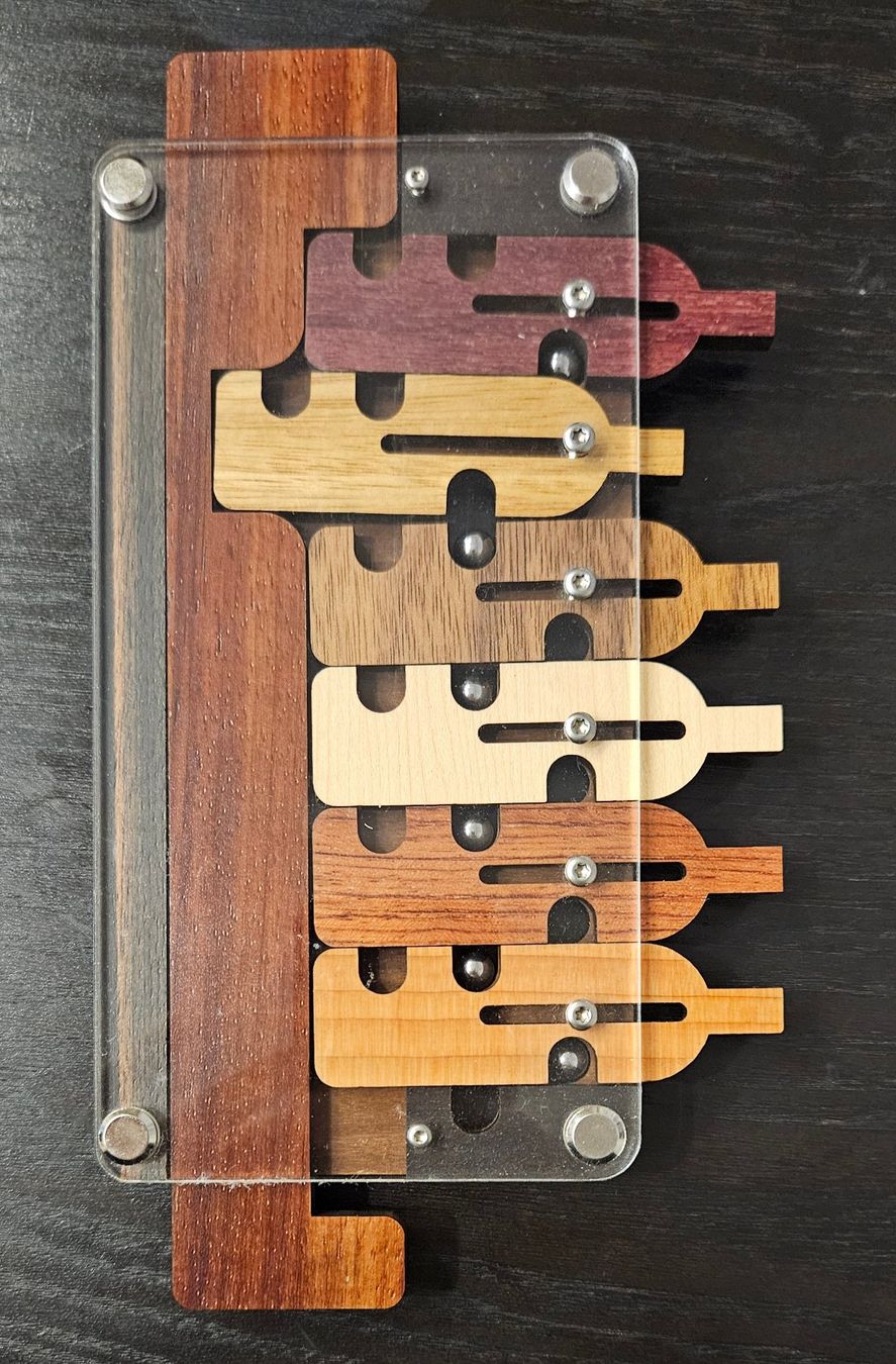 Giochi: Hanayama Puzzle Rätsel Flaschenlabyrinth ORIGINAL – Usato da Uttwil venduto da TG-Lupa