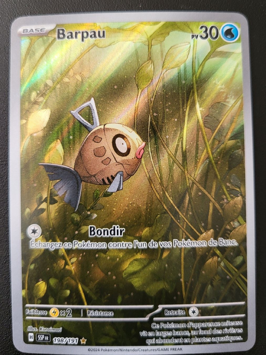 Pokémon Carte collezionabili: Barpau Etincelles deferlantes FR – Nuovo (secondo la descrizione) da St-Sulpice VD venduto da cel_ysf7