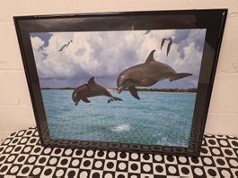 Wandbild "Delfine"
