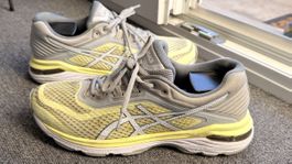  Asics GT-2000 6 femme taille 40.5 blanc 