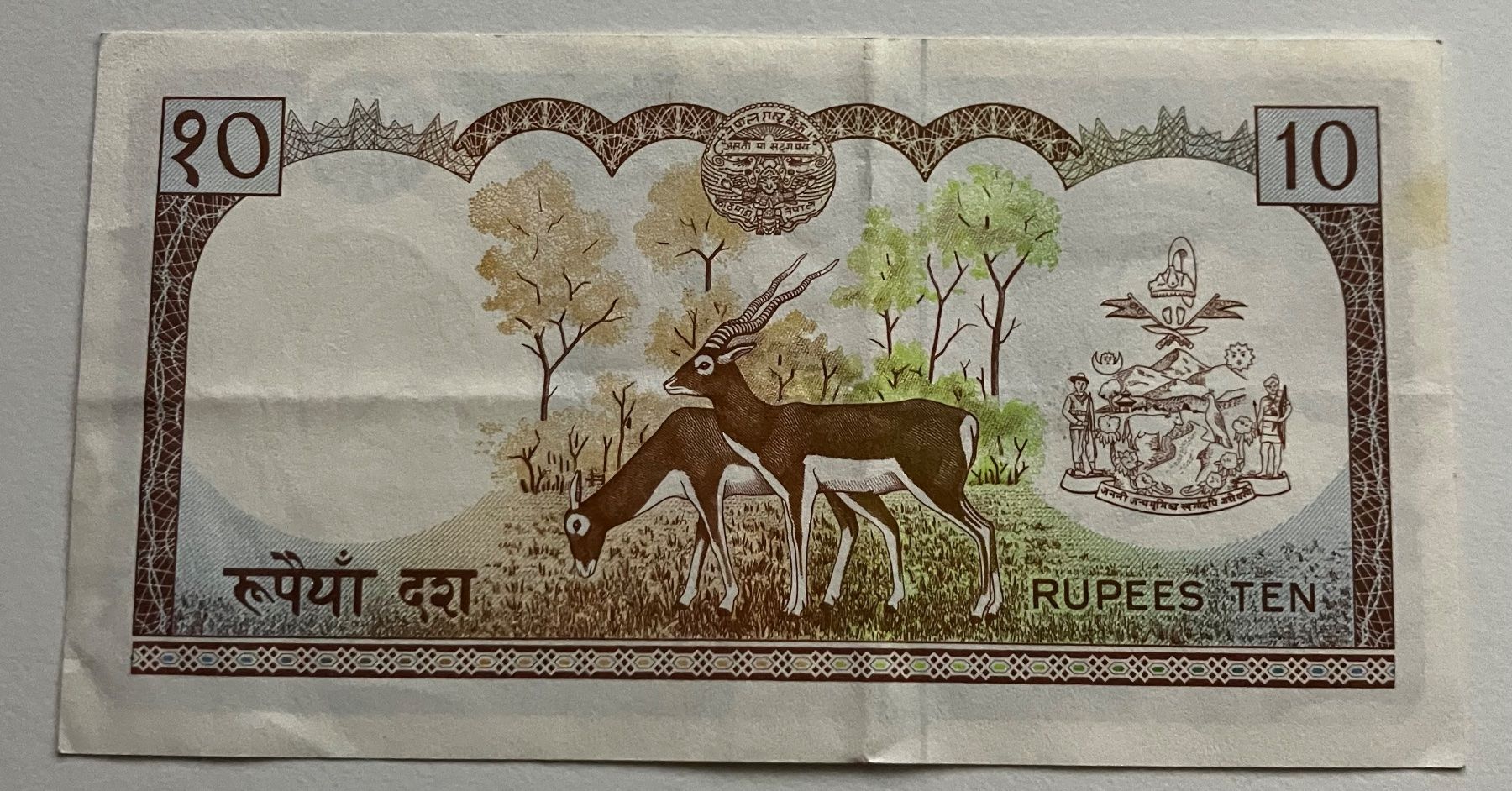 Banconote: Nepal 10 Rupees – Usato da Algetshausen venduto da Carrhard 1