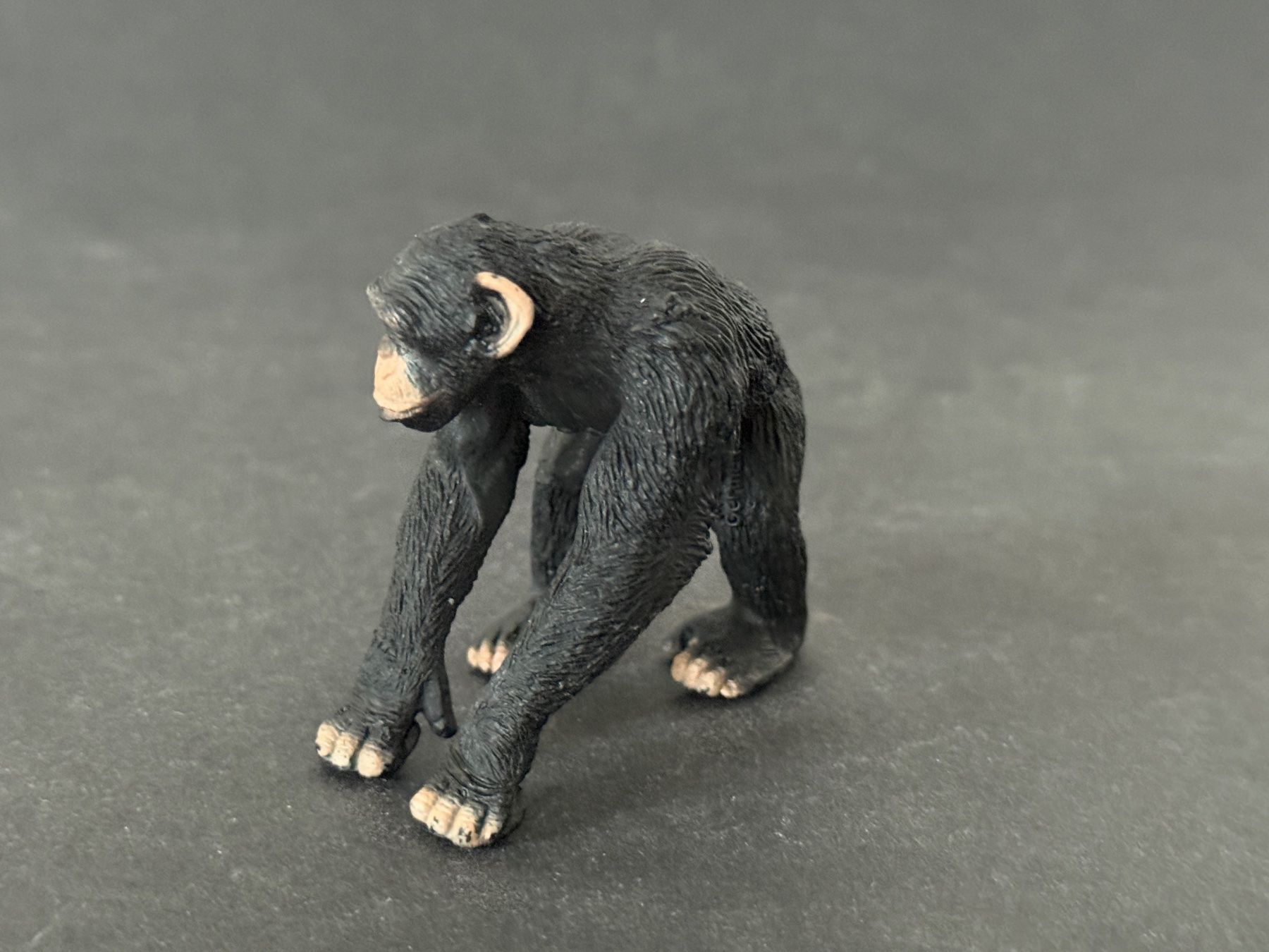 Schleich Figuren: Schleich Schimpansen Männchen Affe Schimpanse – Neu (gemäss Beschreibung) aus Ennetbaden von mapa05 2