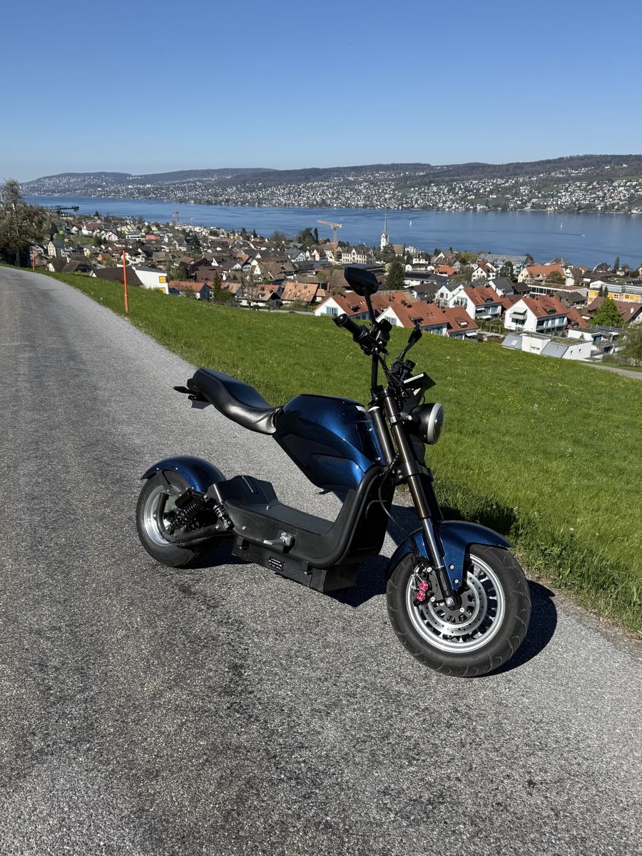 Chopper: City Max RR – Nuovo (secondo la descrizione) da thalwil venduto da Ray7211 1