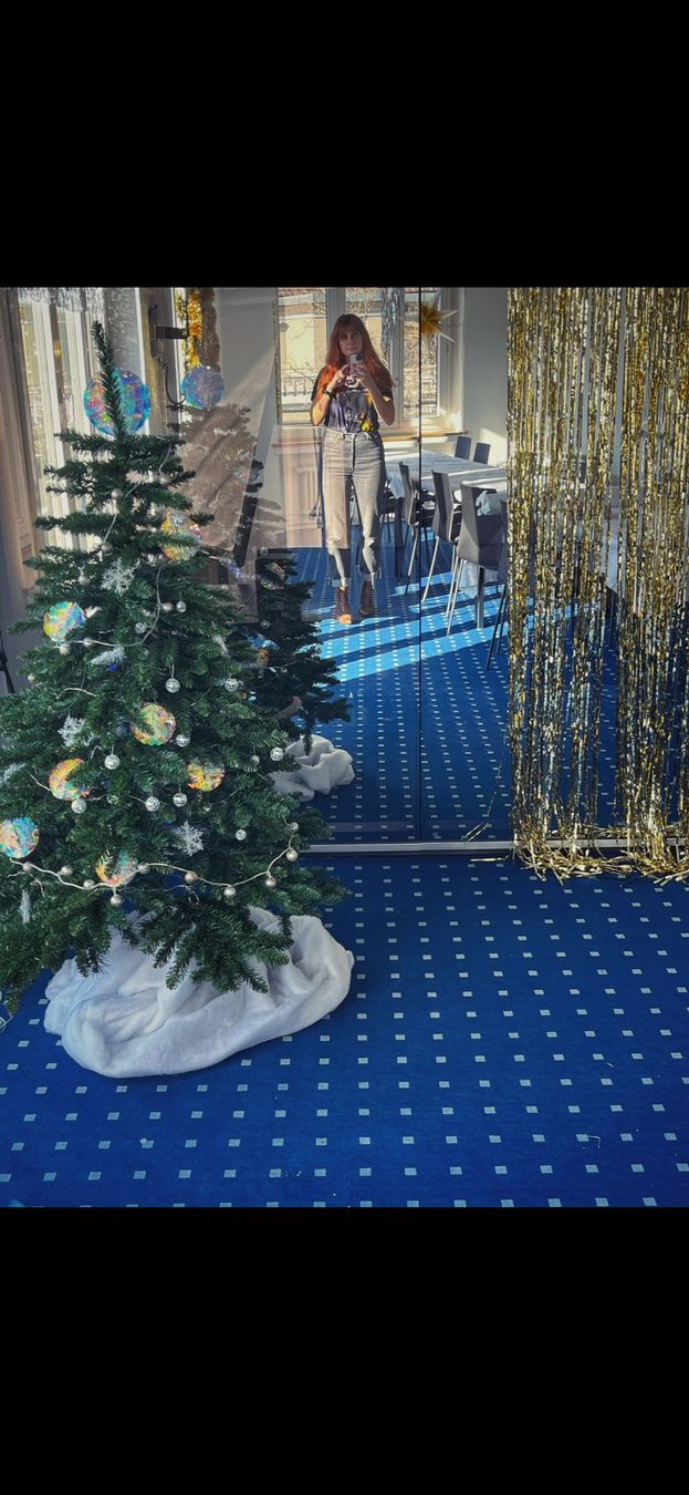 Alle Dekorationen: Künstlicher Weihnachtsbaum – Gebraucht aus Zürich von Hugivida