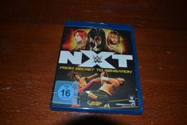 NXT from Secret to Sensation