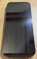 Apple iPhone 16 Pro Max 256 GB grau guter Zustand