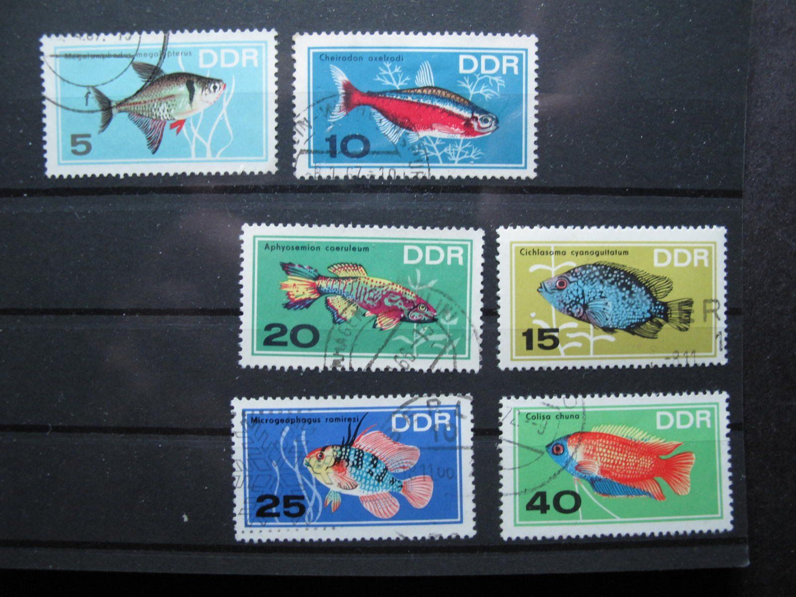 Tous les timbres: DDR 1966 Zierfische gest. – D'occasion à Wil SG par fva01