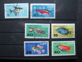 DDR 1966 Zierfische gest.