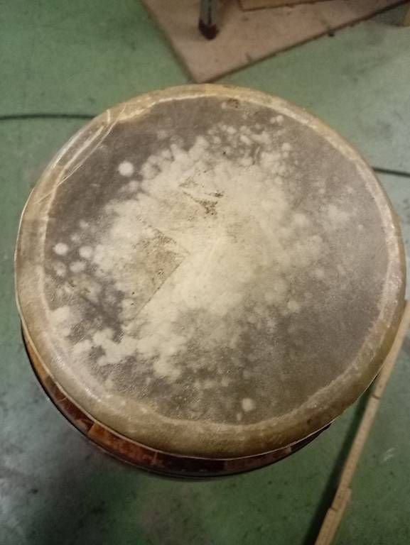 Strumenti musicali: Conga aus Holz mit naturfell – Usato da Basel venduto da Petergunn 3