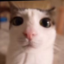 Profile image of lil_76y2