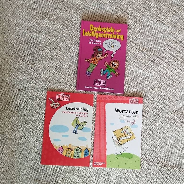 Libri: LÜK-Hefte, Preis pro Stück – Usato da Kollbrunn venduto da Rompecabeza