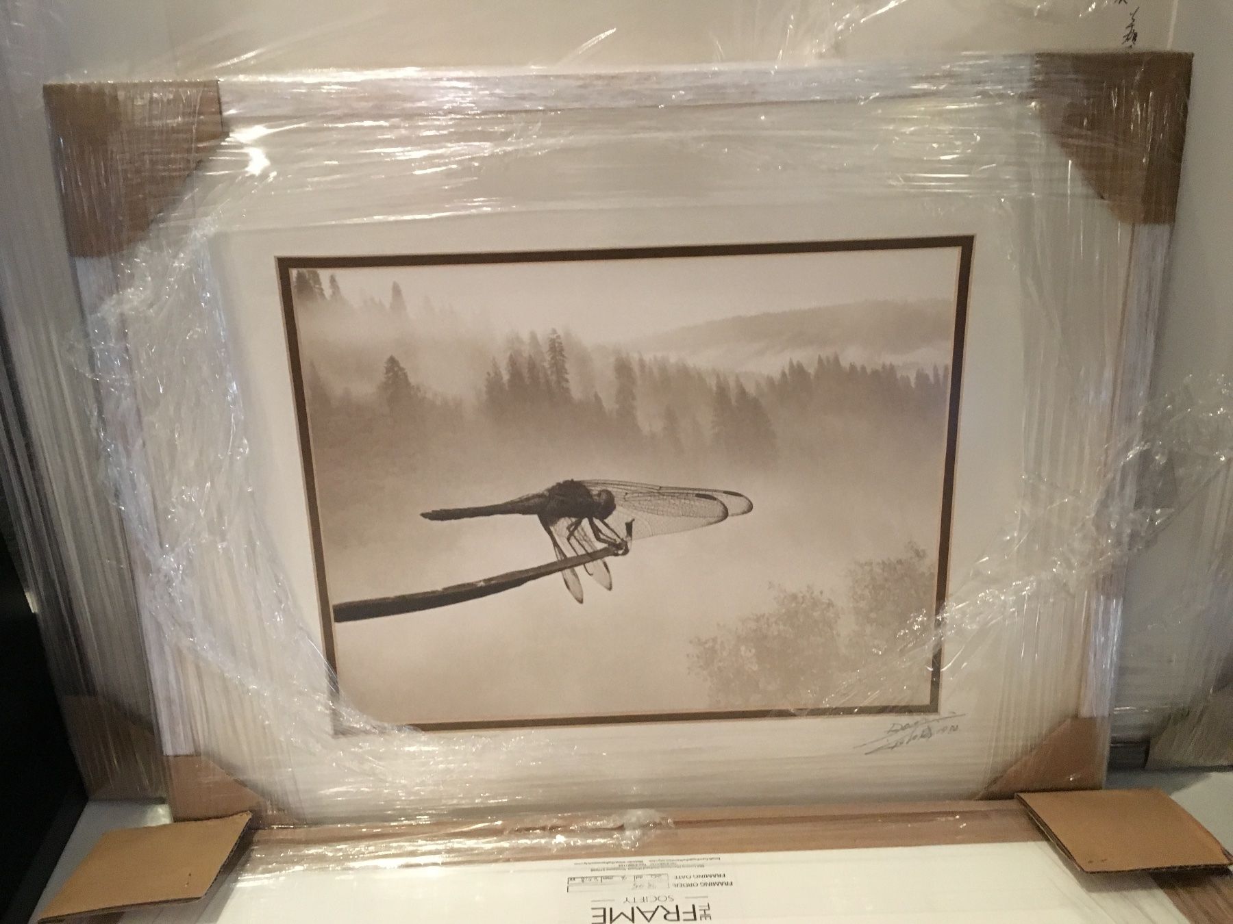 Foto & Immagini: Dragonfly, Don Hong Oai – Usato da Oberwil b. Zug venduto da gdu_l8qx