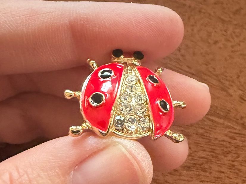 Spille & Fermagli: Hübsche Brosche Marienkäfer rot/goldig mit Strass – Nuovo (secondo la descrizione) da Gams venduto da Mariawicca 2