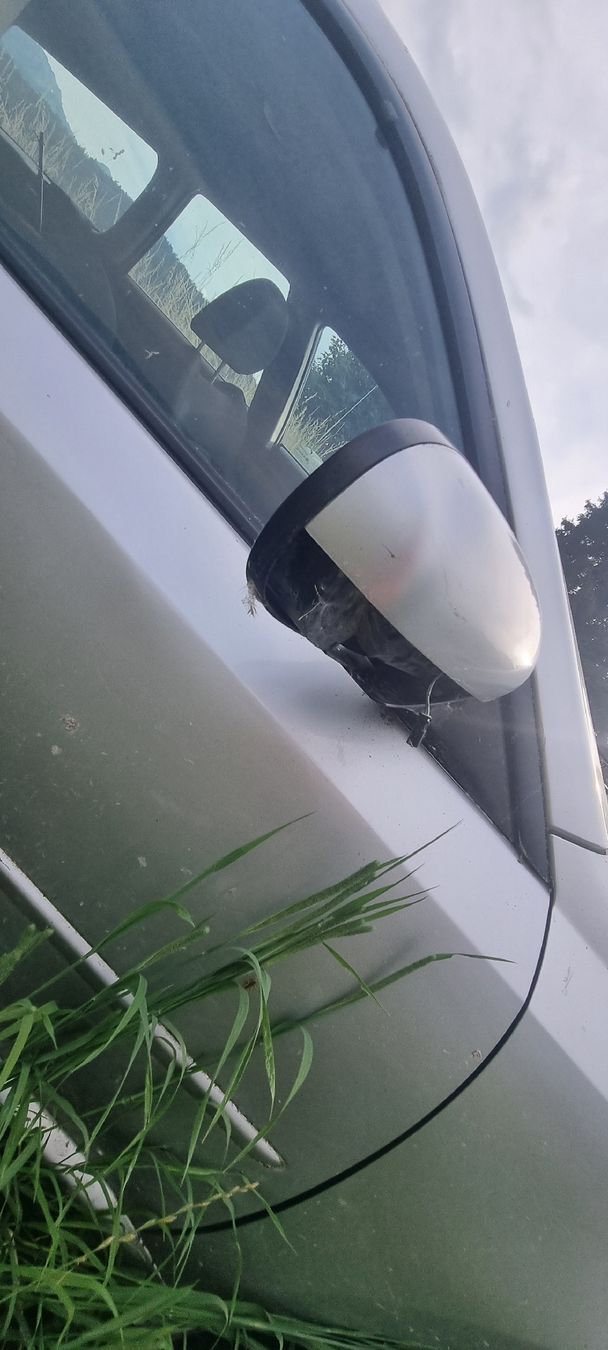 Subaru Autos: Subaru Auto Legacy – Defekt aus Gasel von jas_9vzt 3