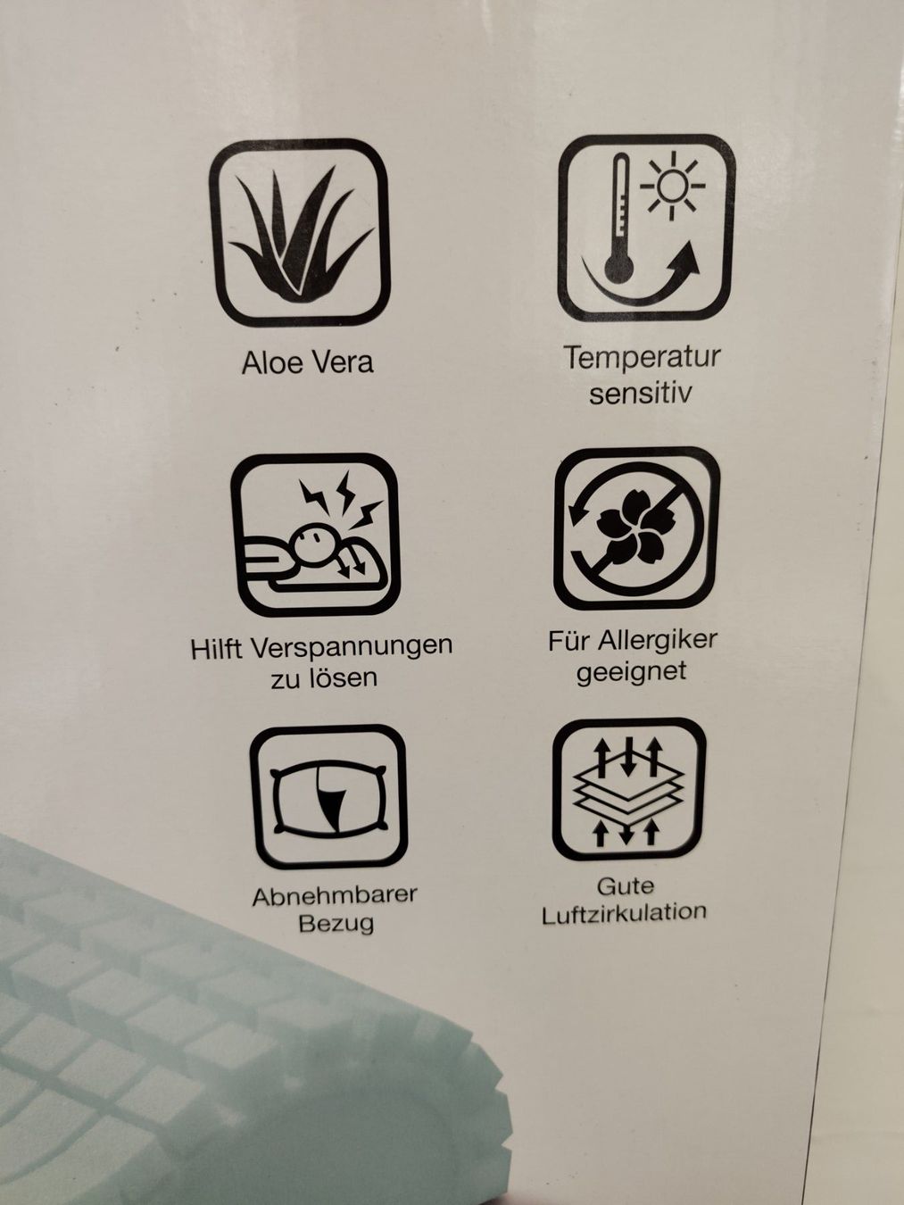 Cuscini: Billerbeck - Vita Aloe Vera – Nuovo e nell'imballaggio originale da Dällikon venduto da Retouren_Resale 1